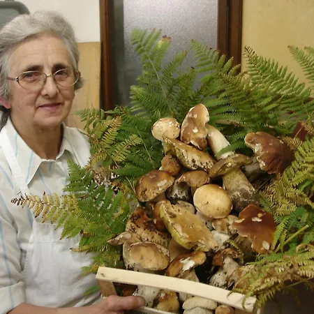 Hotel Albergo Ristorante 